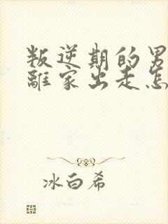 叛逆期的男孩子离家出走怎么去引导初中生