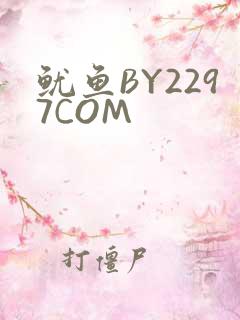 鱿鱼BY2297COM
