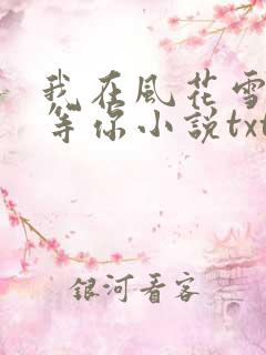 我在风花雪月里等你小说txt文档