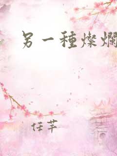 另一种灿烂生活