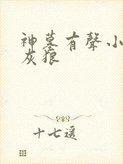 神墓有声小说大灰狼