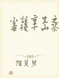 小说重生之将门毒后千山茶客最新