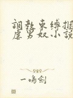 调教束缚捆绑私虐男奴小说