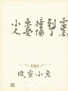 小车撞到电动车人受伤了怎么赔