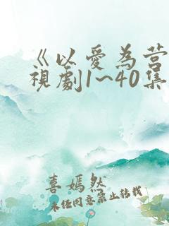《以爱为营》电视剧1~40集