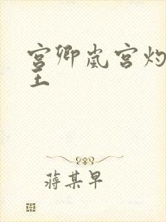 宫卿岚宫灼摄政王