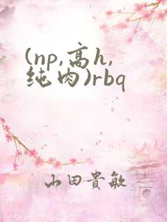 (np,高h,纯肉)rbq