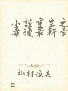 小说重生之将门毒后最新章节列表最