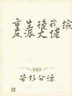 重生后我捡到了反派大佬