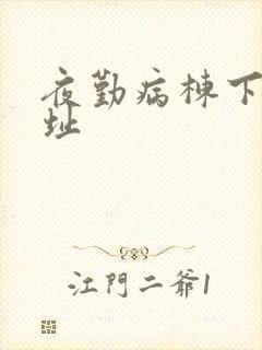 夜勤病栋下载地址