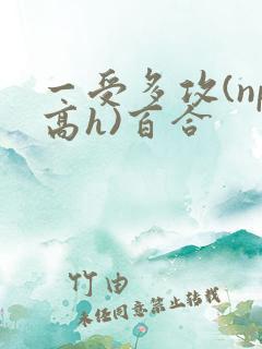 一受多攻(np高h)百合