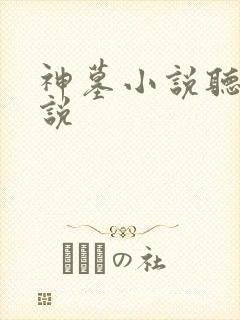 神墓小说听书小说