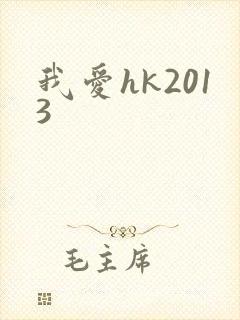 我爱hk2013