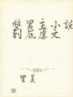 双男主小说一更到底虐文