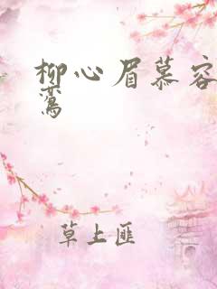 柳心眉慕容逸沈鸾