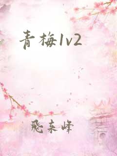 青梅1v2