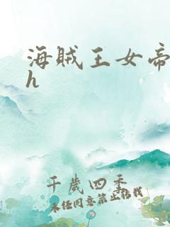 海贼王女帝娜美h