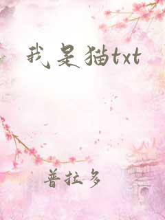 我是猫txt