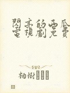 闪亮的西瓜韩剧电视剧免费观看全集