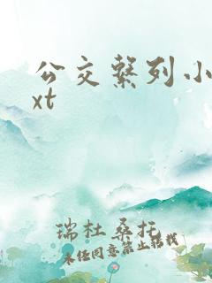 公交系列小说txt