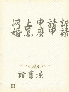 网上申请诉讼离婚怎么申请