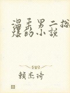 温柔男二总是被爆的小说