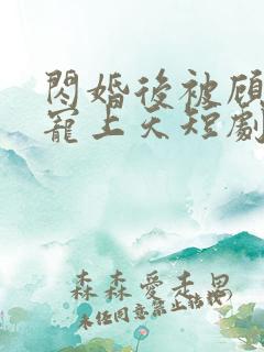 闪婚后被顾先生宠上天短剧