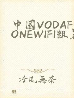 中国VODAFONEWIFI粗暴APP