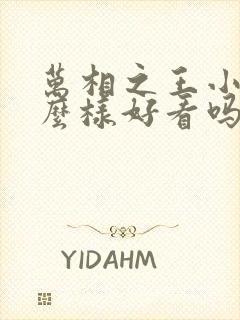 万相之王小说怎么样好看吗