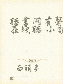 听书网有声小说在线听 小说