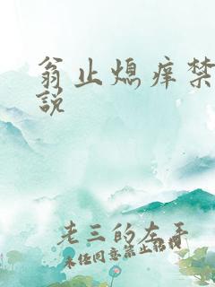 翁止熄痒禁伦小说