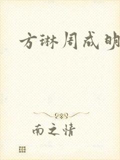 方琳周成明小说