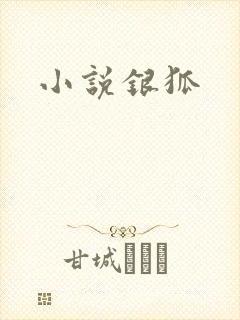 小说银狐