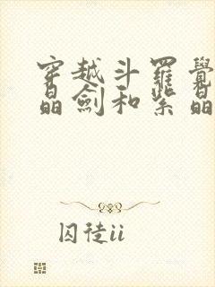 穿越斗罗觉醒天晶剑和紫晶剑