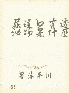 尿道口有透明分泌物是什么病