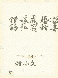 错嫁成婚:总裁的私宠甜妻 短剧