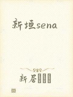 新垣sena