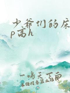 少爷们的床奴np高h