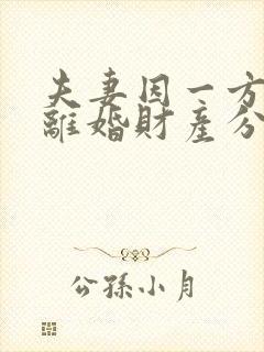 夫妻因一方出轨离婚财产分割