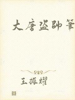 大唐盗帅笔趣阁