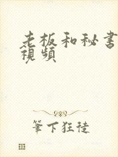 老板和秘书上床视频