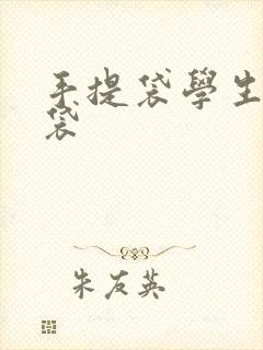 手提袋学生拎书袋