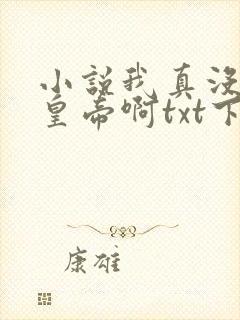 小说我真没想当皇帝啊txt下载