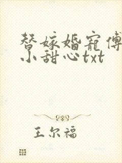 替嫁婚宠傅少的小甜心txt