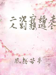 二次宠婚老婆大人别想逃全集小说