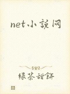 net小说网