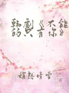 韩剧《不能错过的只有你》免费观看