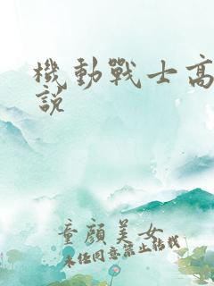 机动战士高达小说