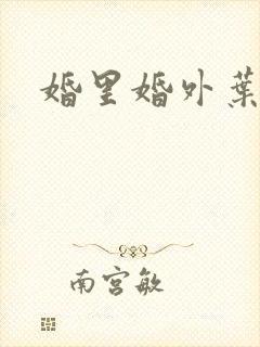 婚里婚外叶晓井