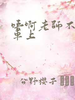 唔啊老师不可以车上